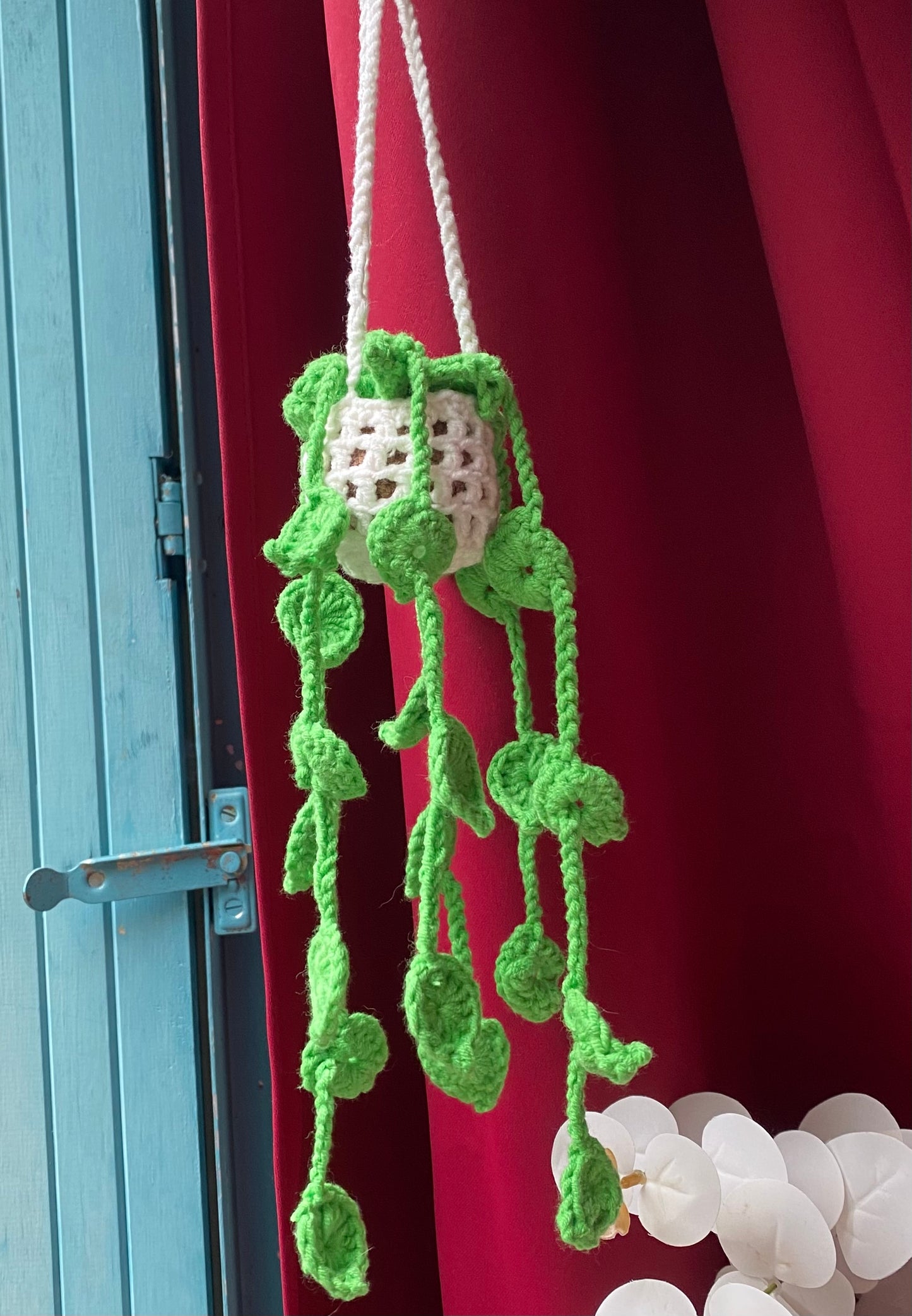 Plante Crochet