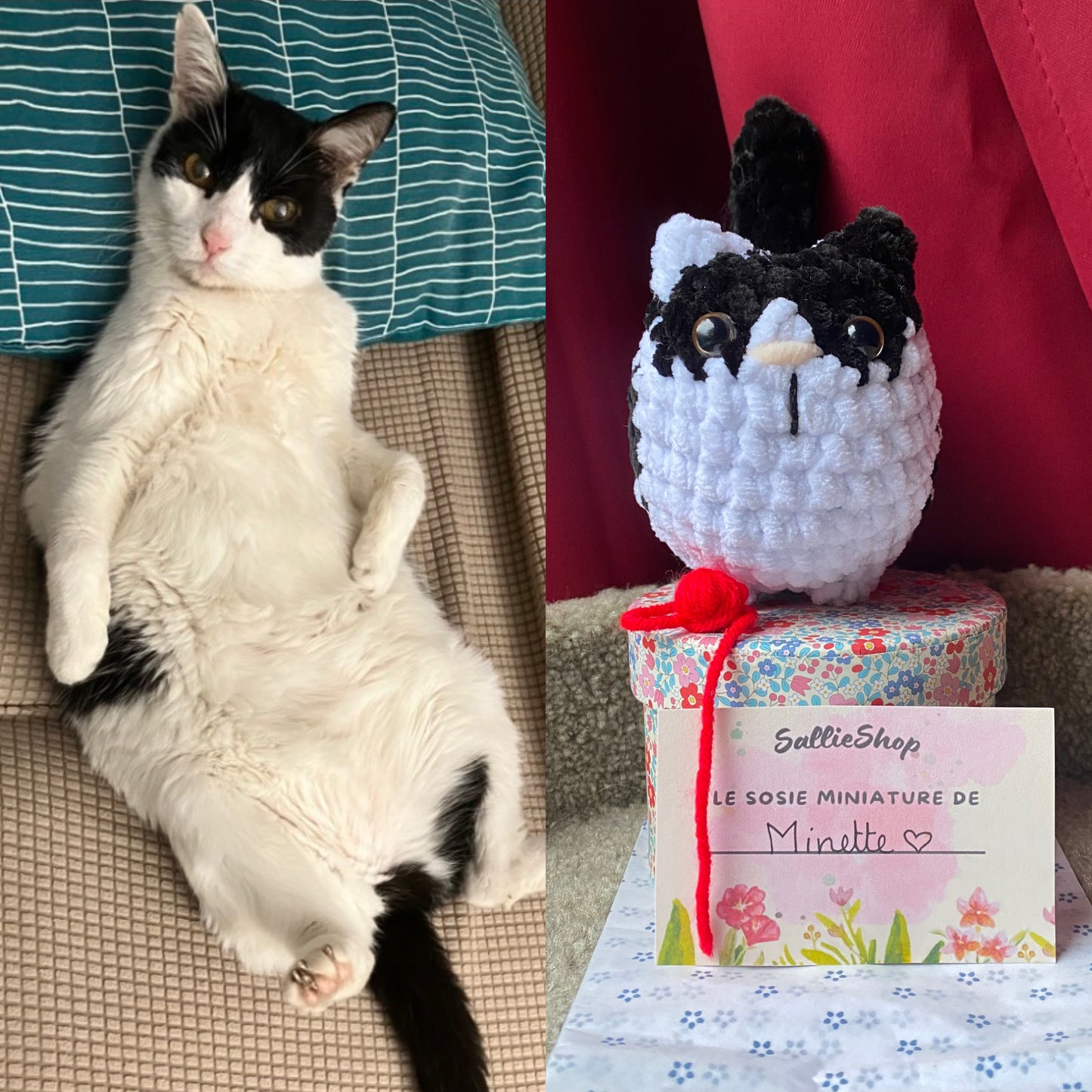 Chat Personnalisable Crochet