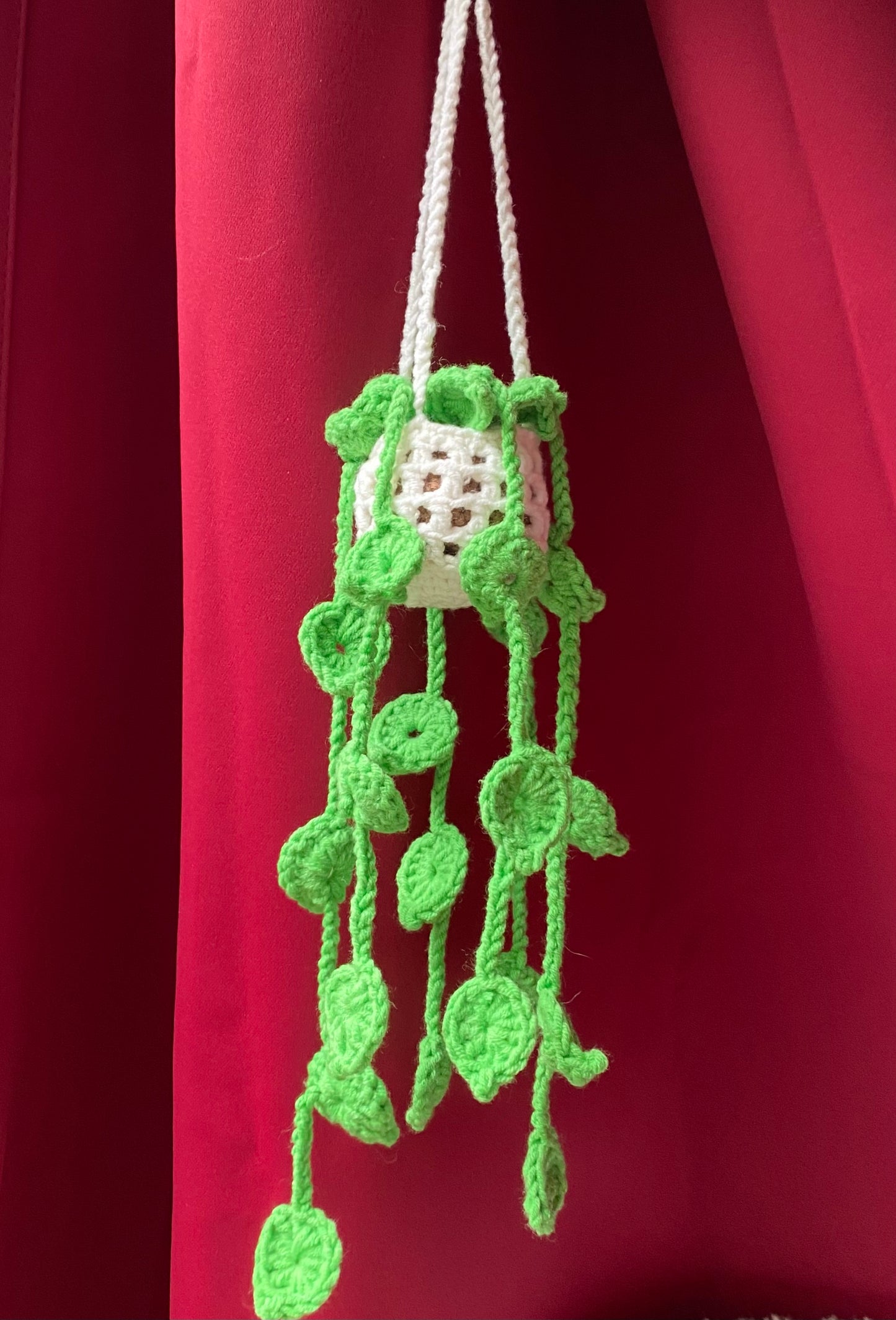 Plante Crochet