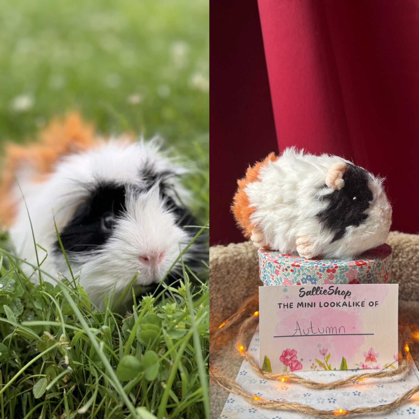 Cochon d’Inde Personnalisable Crochet