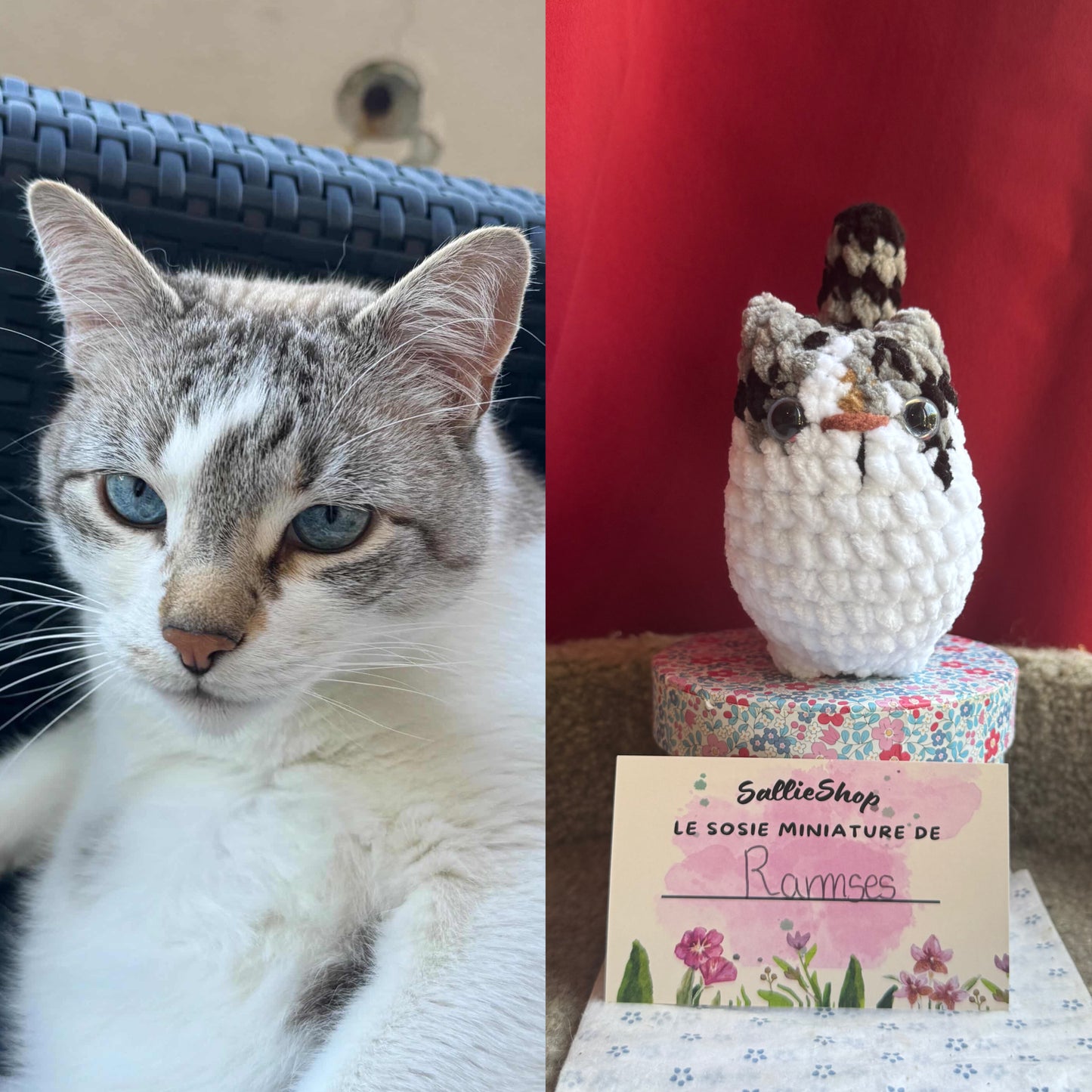 Chat Personnalisable Crochet
