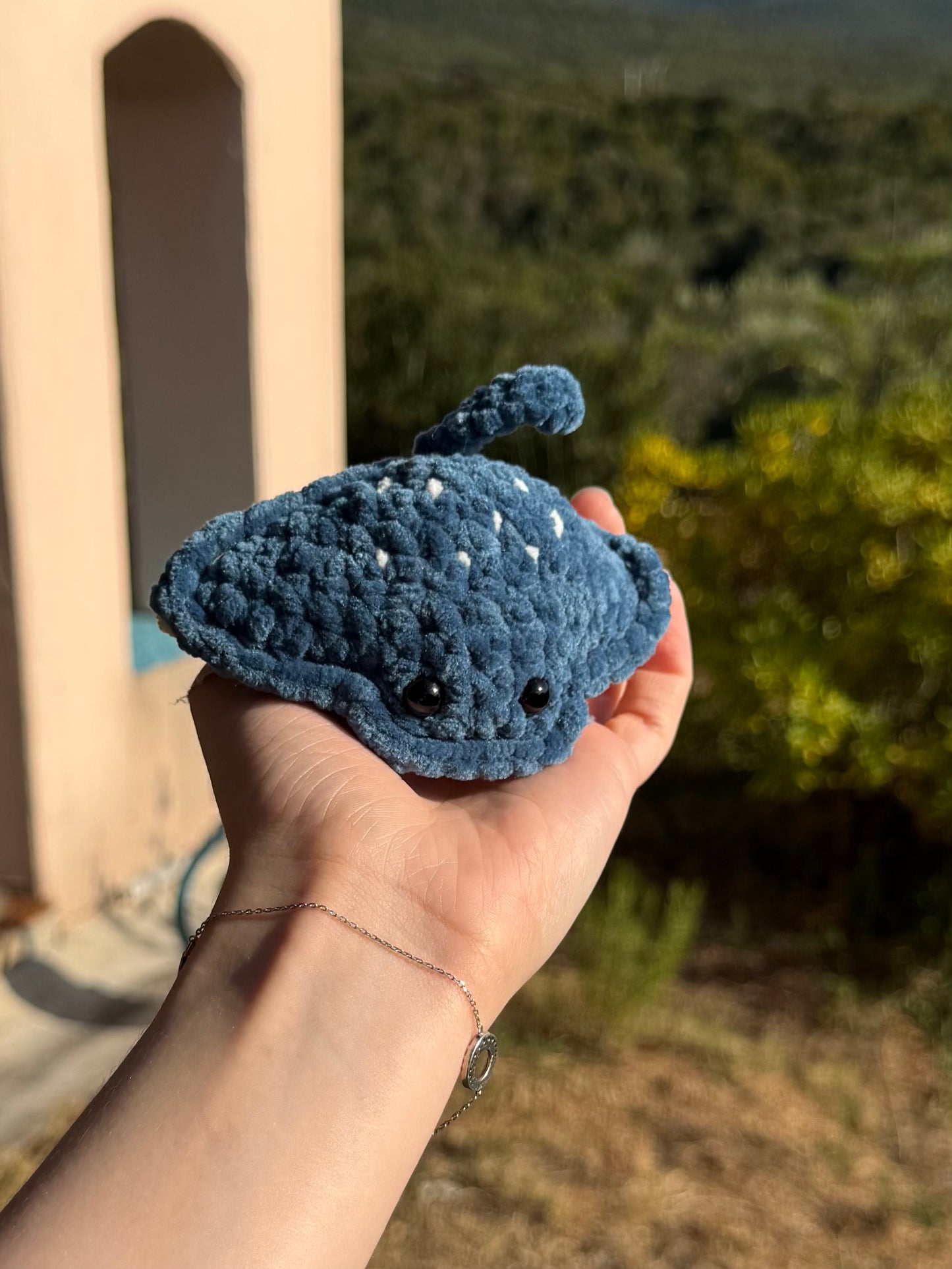 Raie au Crochet