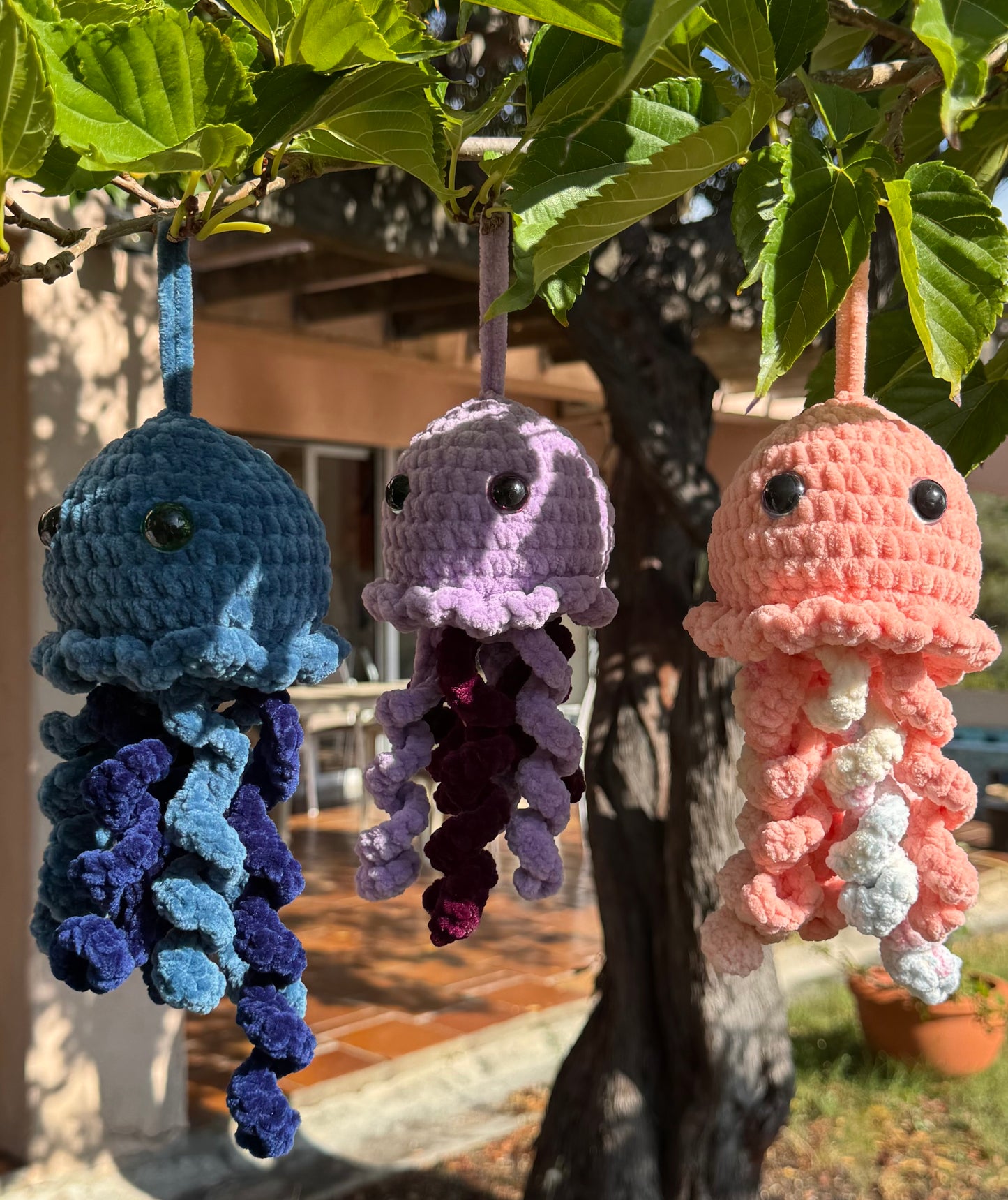 Méduse au Crochet