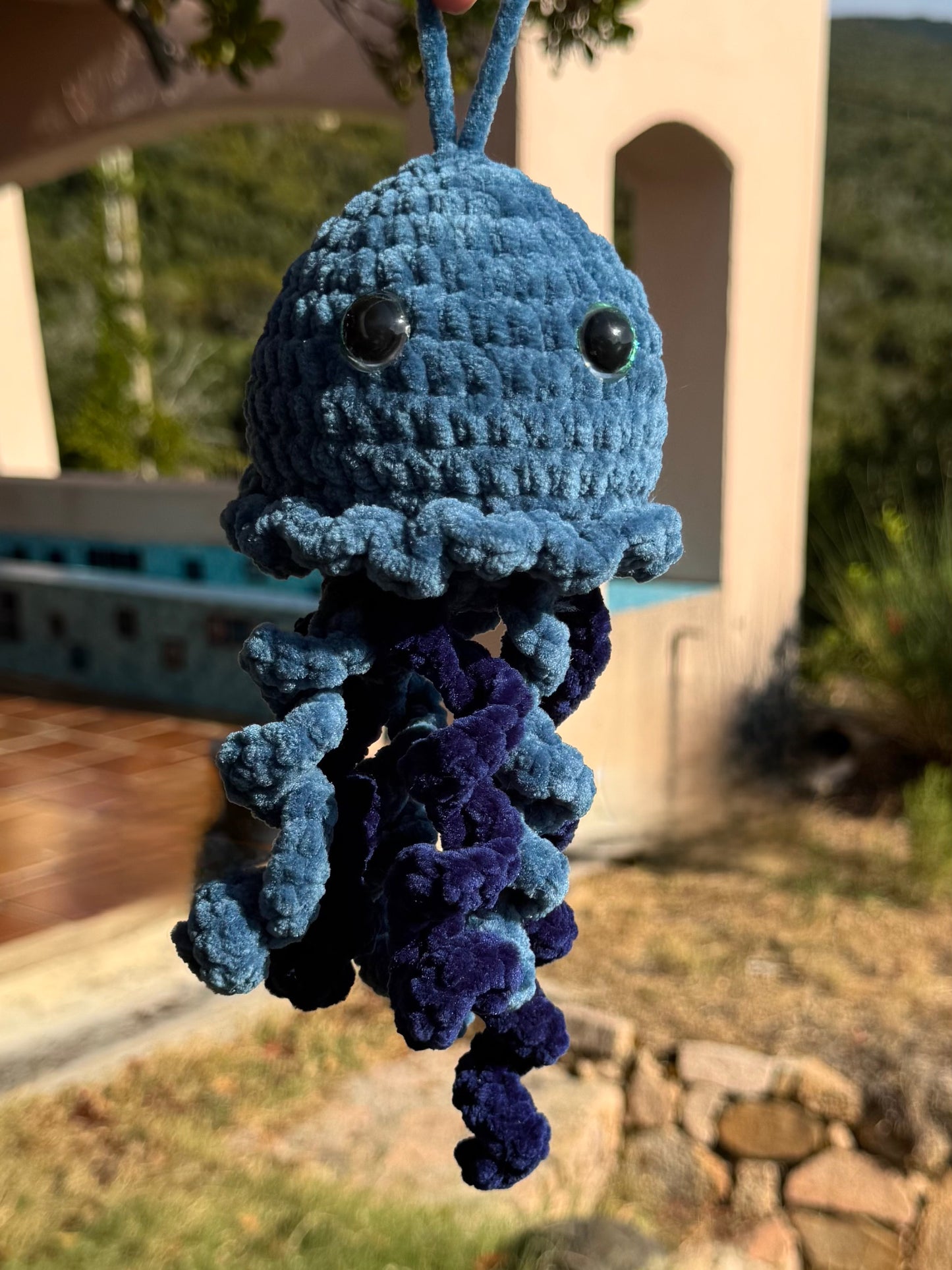 Méduse au Crochet