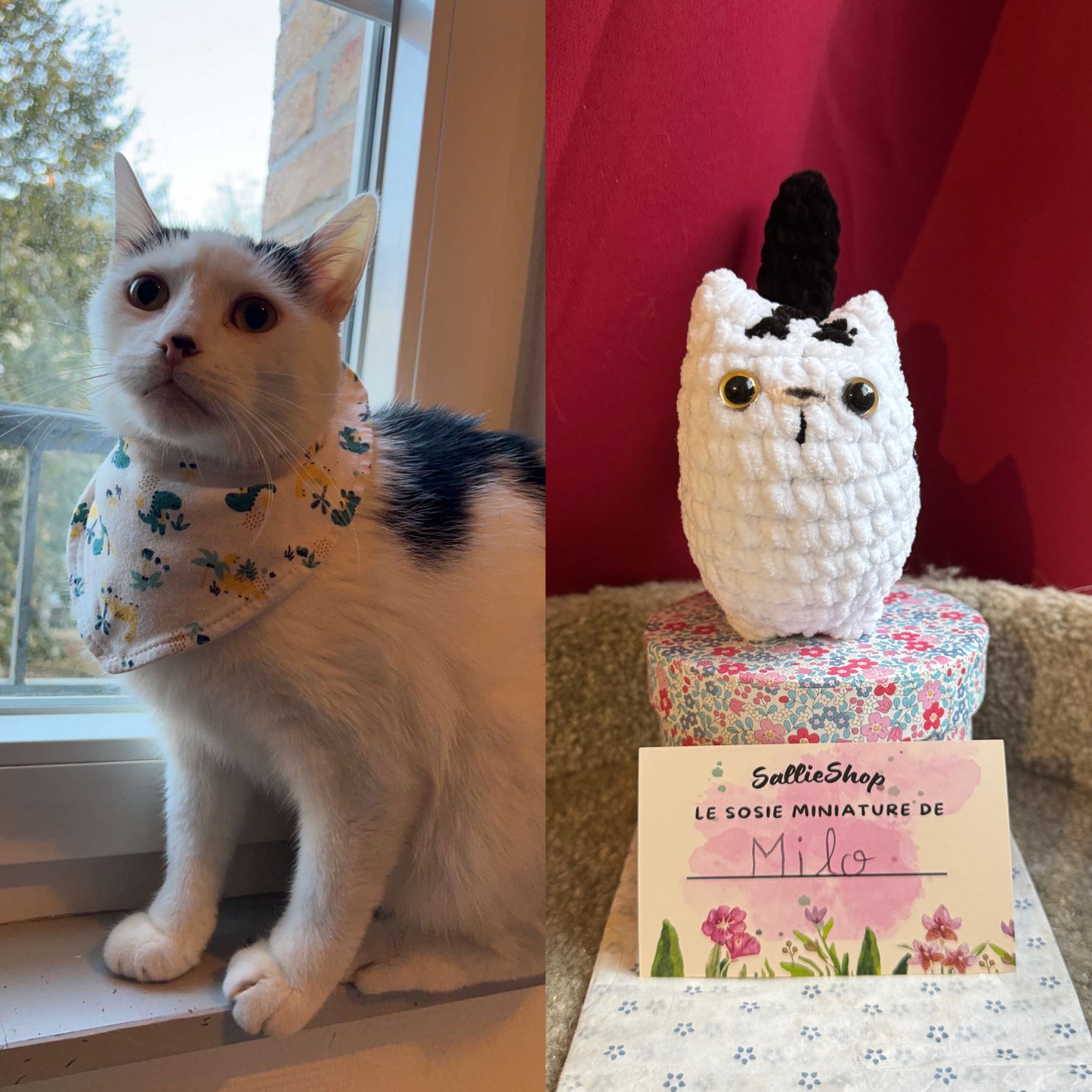 Chat Personnalisable Crochet