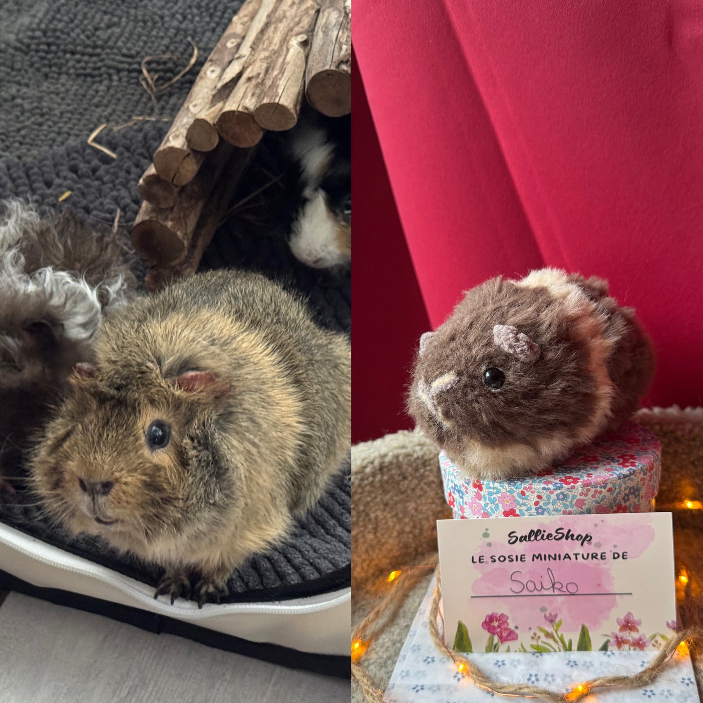 Cochon d’Inde Personnalisable Crochet