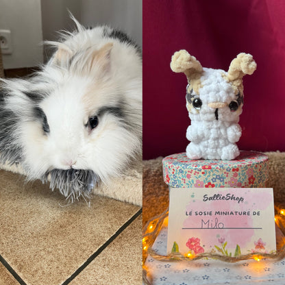 Lapin Personnalisable Crochet