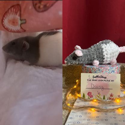 Rat personnalisable crochet
