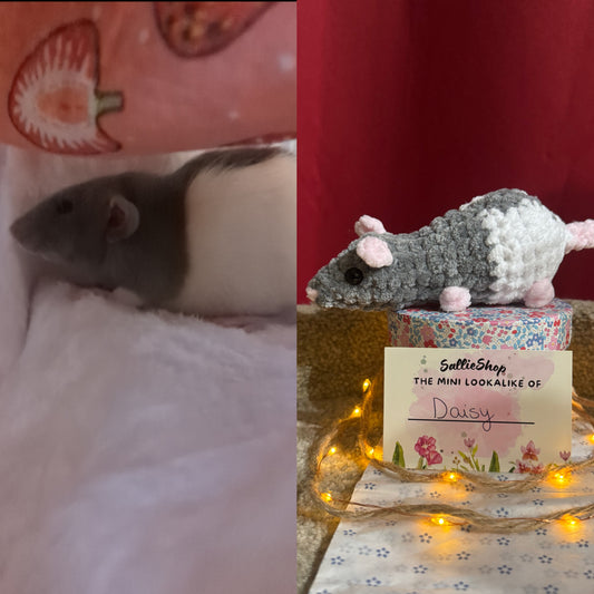 Rat personnalisable crochet