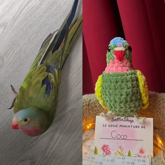 Oiseau Personnalisé Crochet