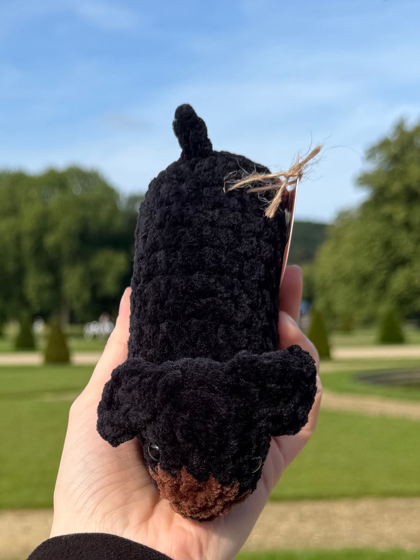Teckel au Crochet 🧶