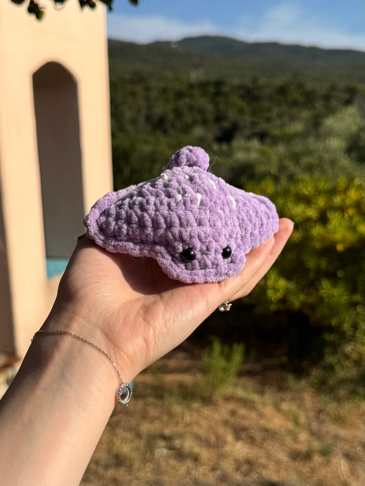 Raie au Crochet