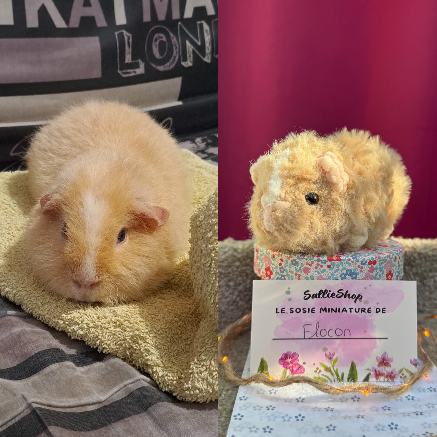 Cochon d’Inde Personnalisable Crochet