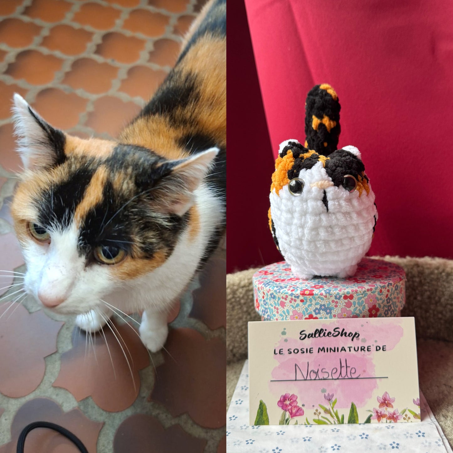 Chat Personnalisable Crochet