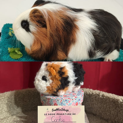 Cochon d’Inde Personnalisable Crochet