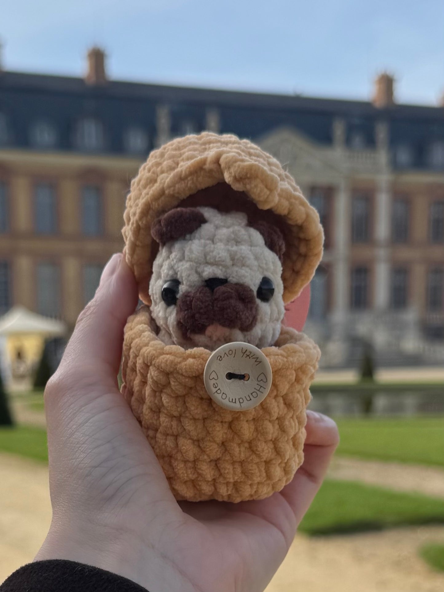 Chien œuf Crochet