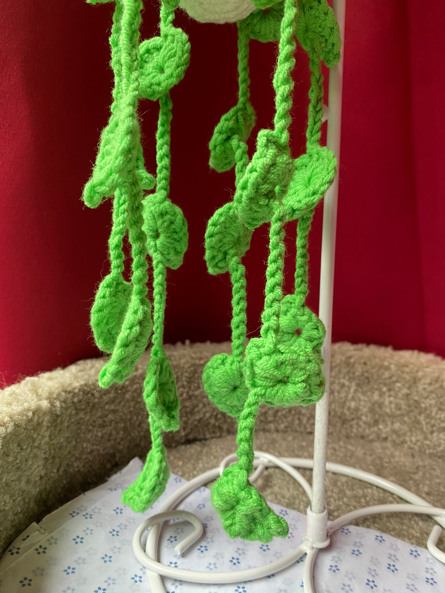 Plante Crochet