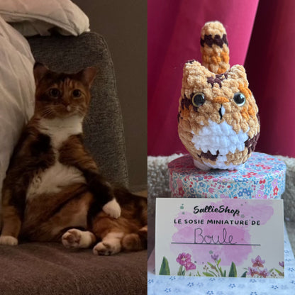Chat Personnalisable Crochet