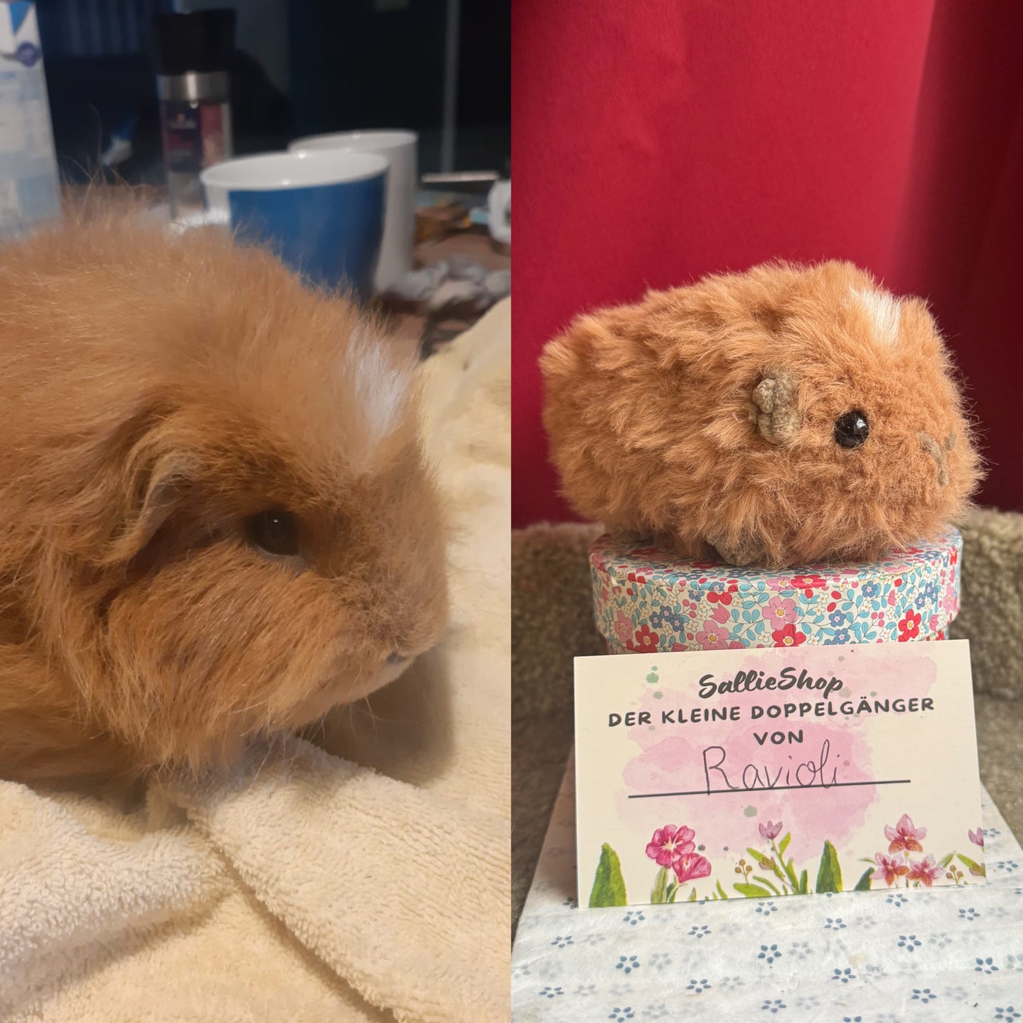 Cochon d’Inde Personnalisable Crochet