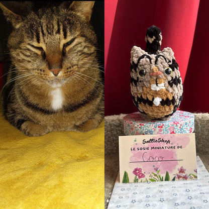 Chat Personnalisable Crochet