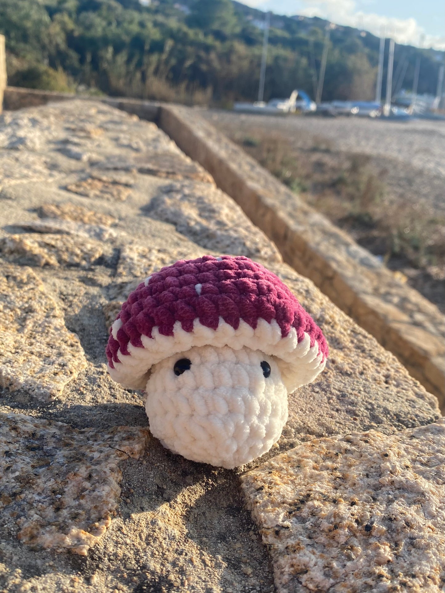 Champignon au Crochet