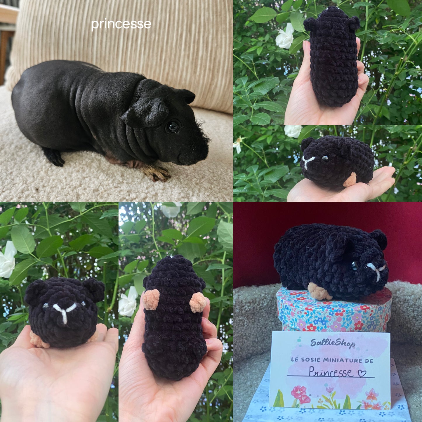 Cochon d’Inde Personnalisable Crochet