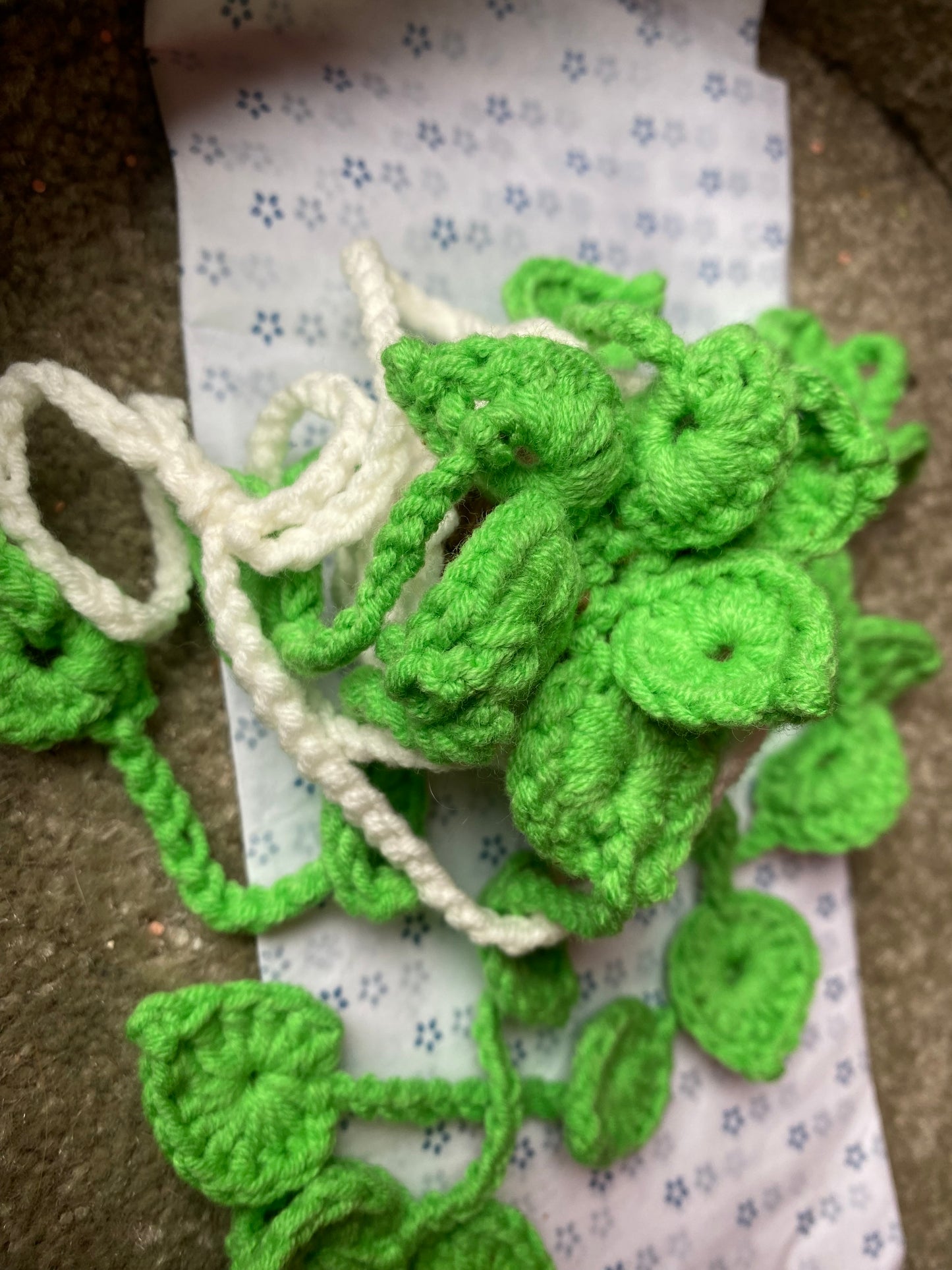 Plante Crochet