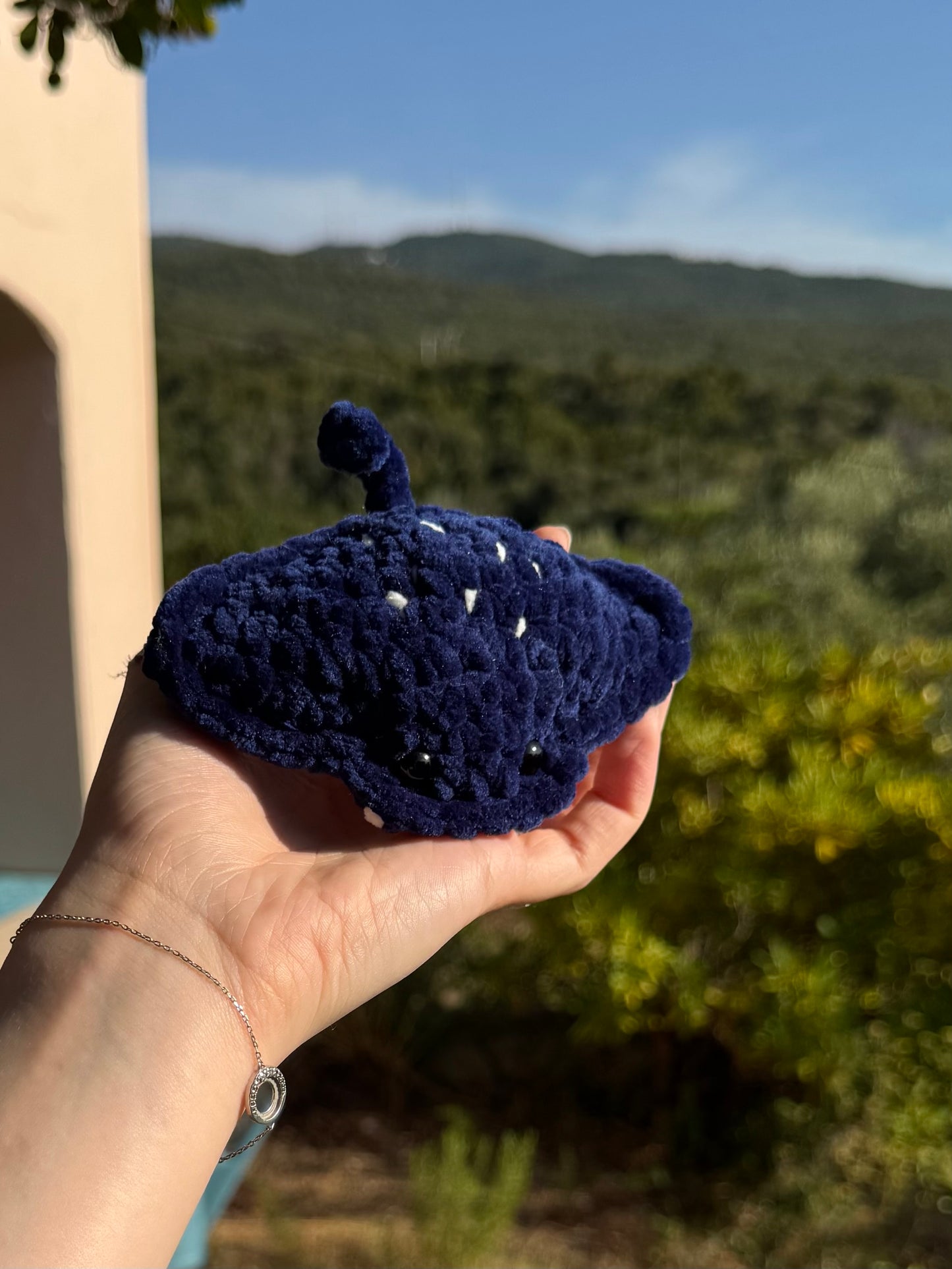 Raie au Crochet