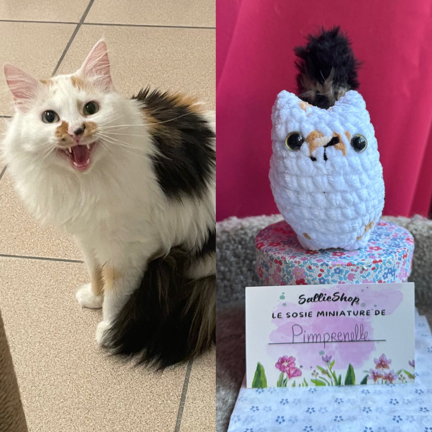 Chat Personnalisable Crochet
