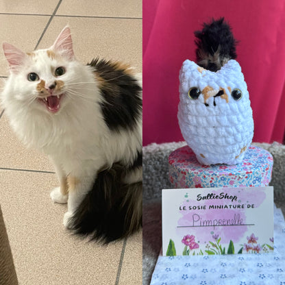 Chat Personnalisable Crochet