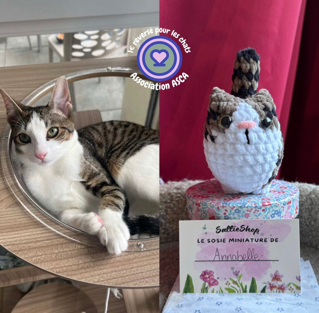 Chat Personnalisable Crochet
