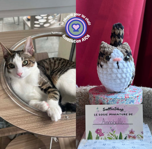 Chat Personnalisable Crochet