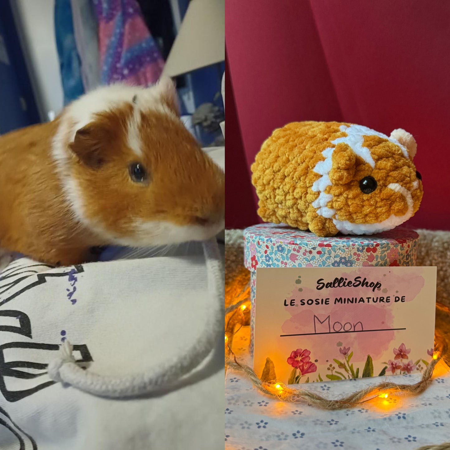 Cochon d’Inde Personnalisable Crochet