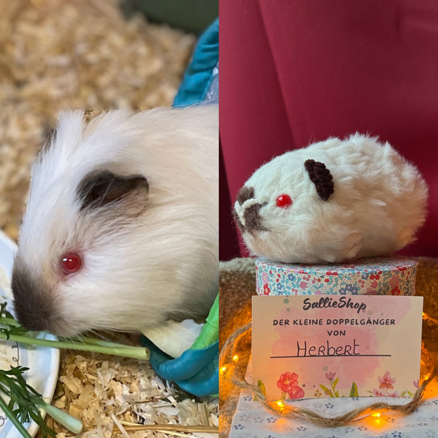 Cochon d’Inde Personnalisable Crochet