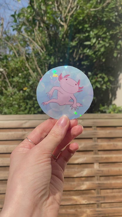 Set Peluche + Stickers Axolotl